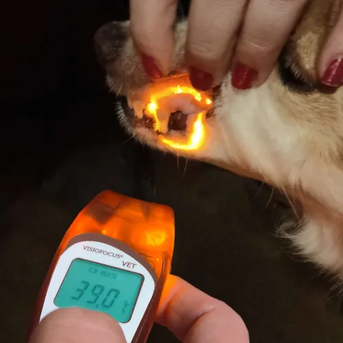VisioFocus VET berührungsloses Veterinärthermometer VisioFocusVET_6-1.webp
