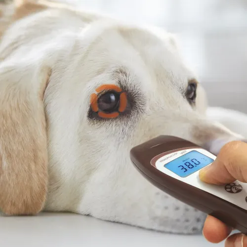 VisioFocus VET berührungsloses Veterinärthermometer VisioFocusVET_2-1.webp