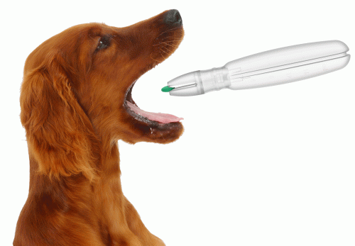 Pet Pill Pen Tablettenspender für Haustiere pet-pill-pen-blister-dozownik-tabletek-dla-zwierzat-6285.gif