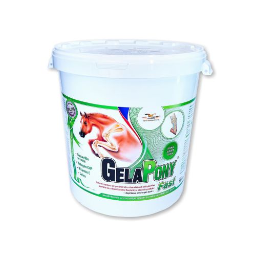 GelaPony Schnell GelaPony Fast 10000g.jpg