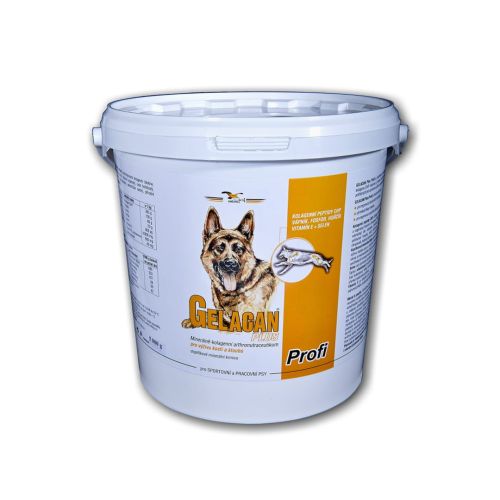 Gelacan Profi Aquamin für Hunde Gelacan Profi Aquamin dla psów 5kg.jpg