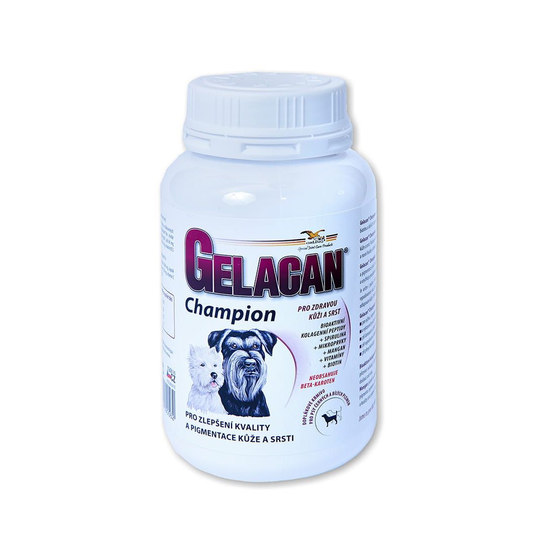 Gelacan Champion Schwarz &amp; Weiß
