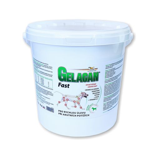 Gelacan Fast für Hunde für Gelenke Gelacan Fast dla psów na stawy 5kg.jpg