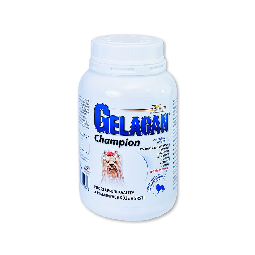 Gelacan Champion Farbe