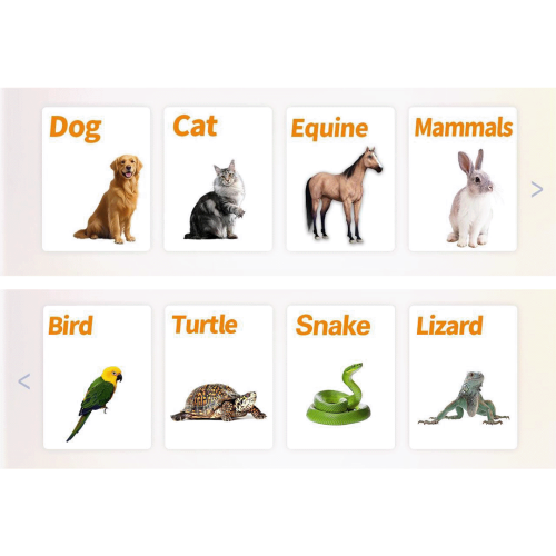 TooLas Veterinärlaser lasero-tootoo-2.png