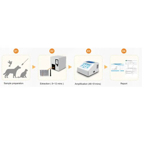 Real-Time-PCR-System für die veterinärmedizinische molekulare Diagnostik Weterynaryjny system diagnostyki molekularnej-1.png