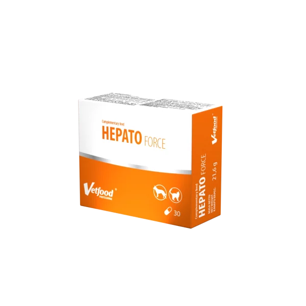 Hepato-Force-30kaps-600x600.webp