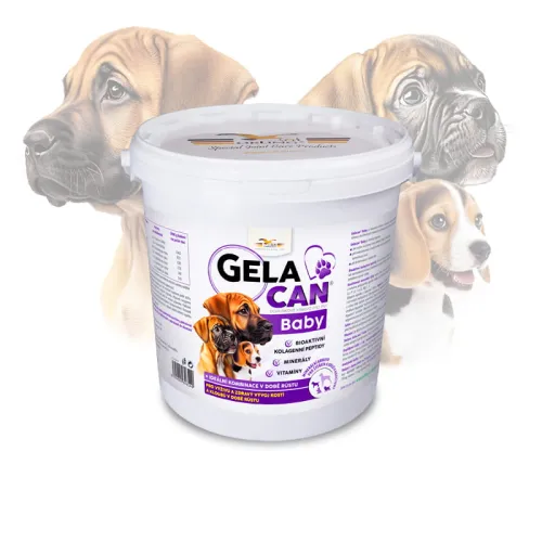 Gelacan Baby Aquamin für Welpen GC-Baby-5-kg.jpg