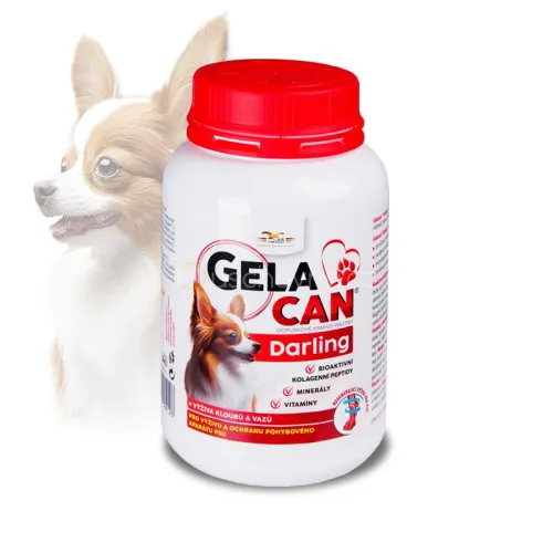 Gelacan Darling für Hunde