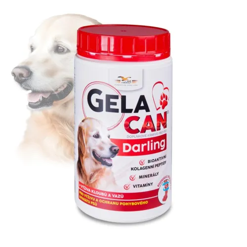 Gelacan Darling für Hunde GC-Darling-500-g.jpg