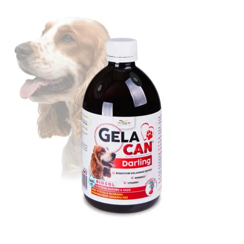 Gelacan Darling Biosol für Hunde 500 ml