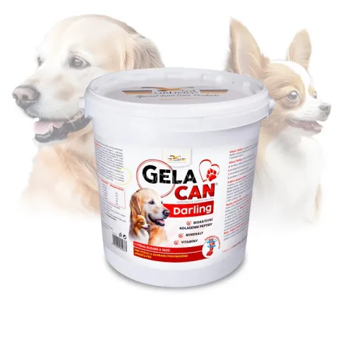 Gelacan Darling für Hunde GC-Darling-5-kg.jpg