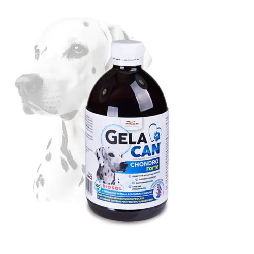 Gelacan Chondro Forte Biosol für Hunde 500 ml