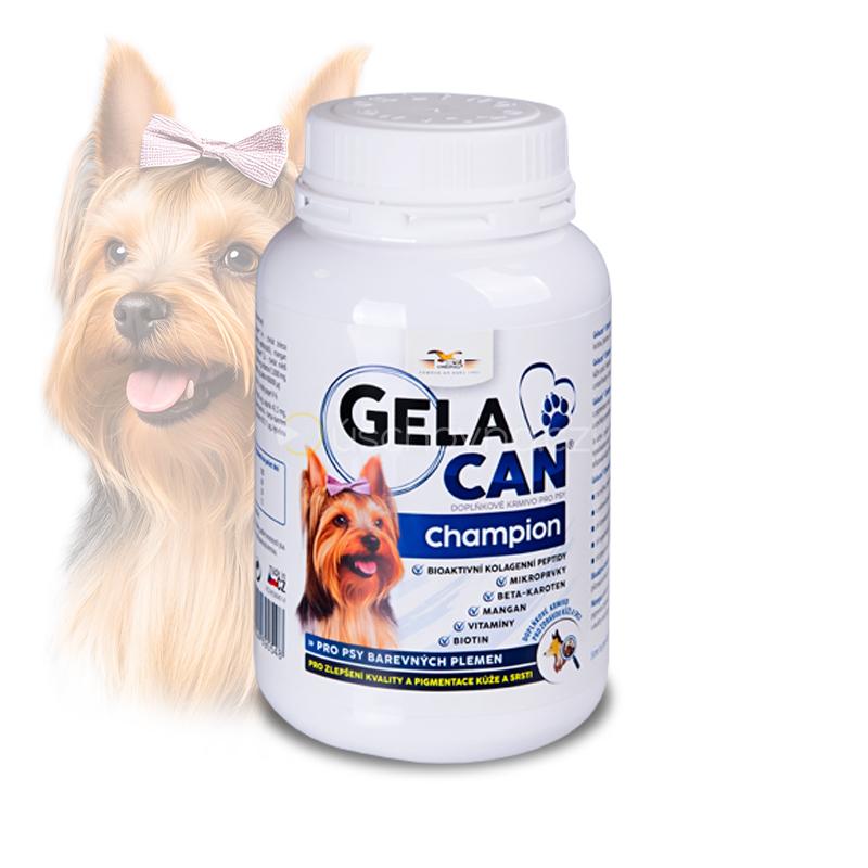 Gelacan Champion Farbe