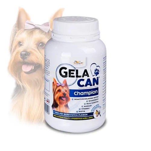 Gelacan Champion Farbe GC-Champion-kolor-150-g.jpg
