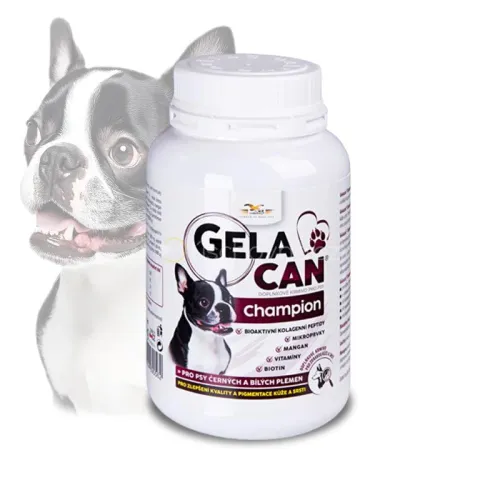 Gelacan Champion Schwarz &amp; Weiß