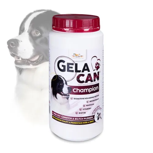 Gelacan Champion Schwarz &amp; Weiß GC-Champion-BW-500-g.jpg