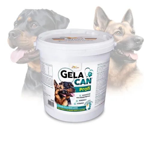 Gelacan Profi Aquamin für Hunde GC-Profi-5-kg.jpg