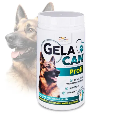 Gelacan Profi Aquamin für Hunde