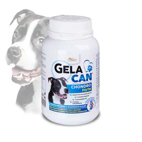 Gelacan Chondro Forte für Hunde Gelacan-Chondro-Forte-150-g--proszek.jpg