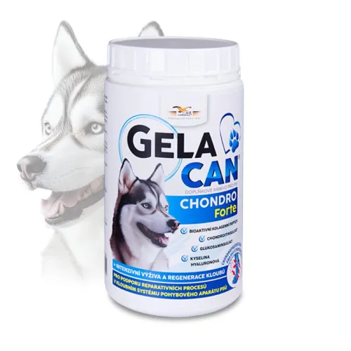 Gelacan Chondro Forte für Hunde Gelacan-Chondro-Forte-500-g---proszek.jpg