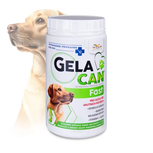 Gelacan Fast für Hunde für Gelenke Gelacan-Fast-500-g---proszek.jpg