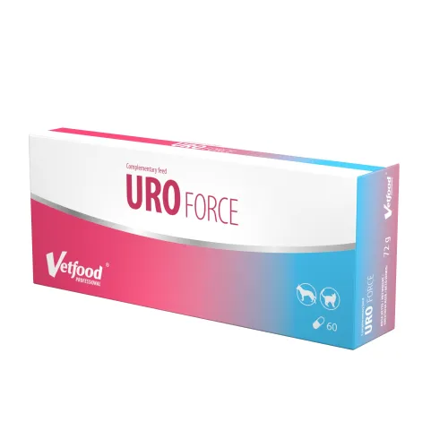 UroForce 60 Kapseln Vetfood