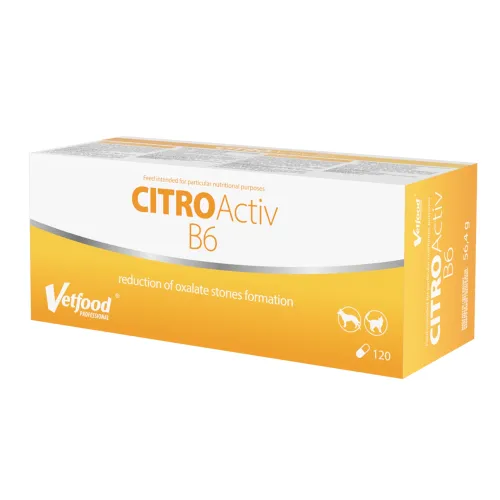 CitroActiv B6 120 Kapseln Vetfood
