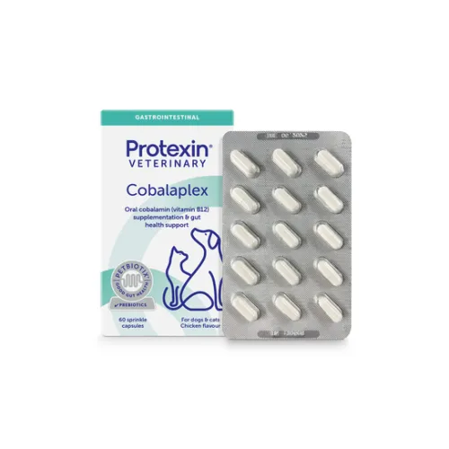 Cobalaplex Probiotikum für Hunde und Katzen 60 Kapseln.