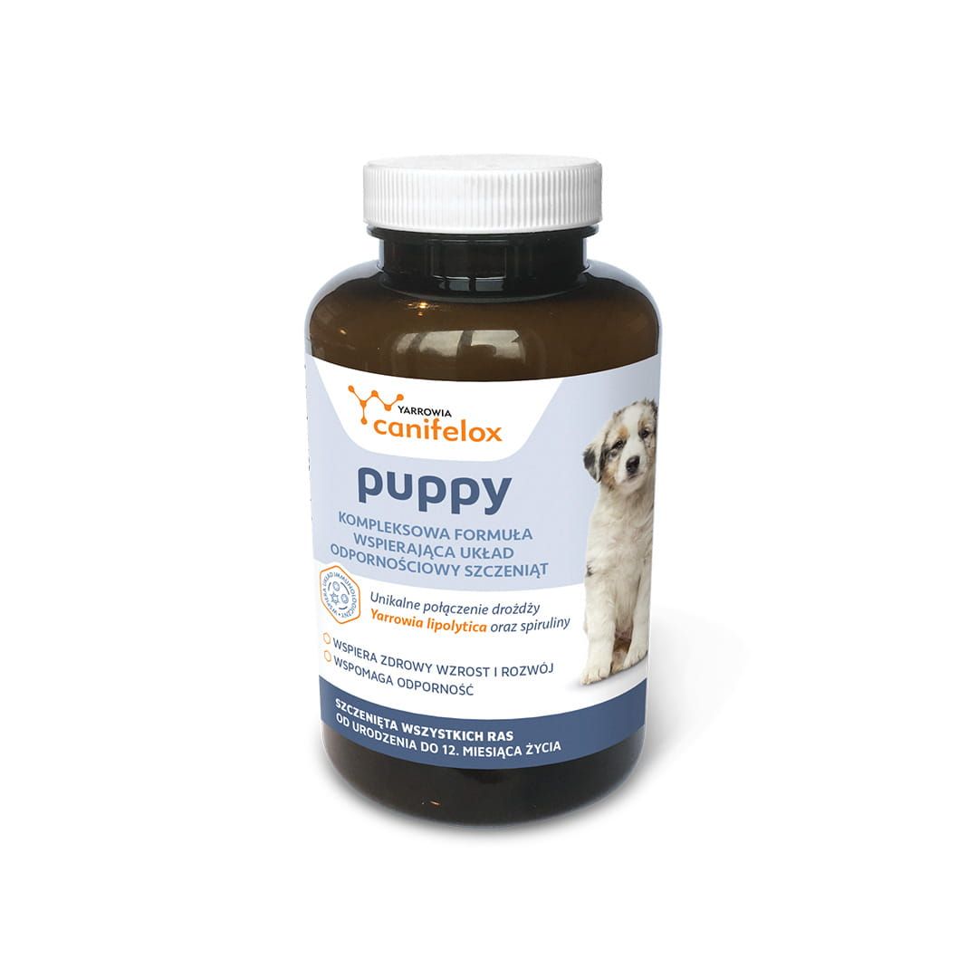 Canifelox Puppy YARROWIA.jpg