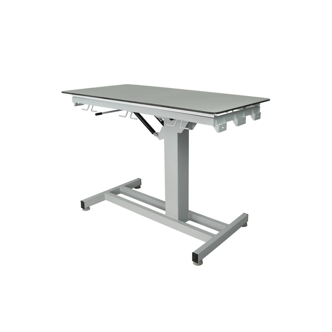 Tierärztlicher Röntgentisch VET-RS2