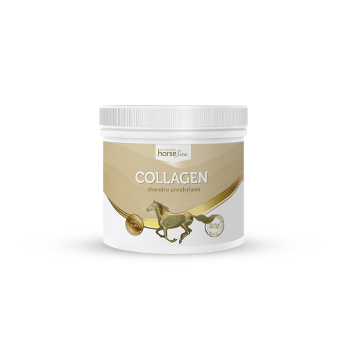 Kollagen HorseLinePRO Collagen HorseLinePRO 300g.png