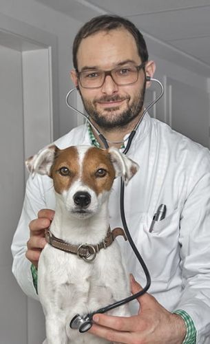 HEINE GAMMA Großes Stethoskop HEINE GAMMA Stetoskop duży-3.jpg