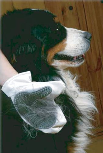 Waschhandschuh für Hund und Katze Zolux ZOLUX Rękawica do mycia-2.jpg