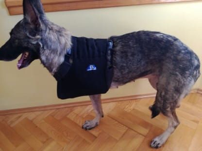 Brustwirbelsäulenstütze Temblak-dla-psa-sling-for-dog-to-the-front-paws-v.jpg