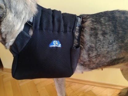 Brustwirbelsäulenstütze Temblak-dla-psa-sling-for-dog-to-the-front-paws-vv.jpg