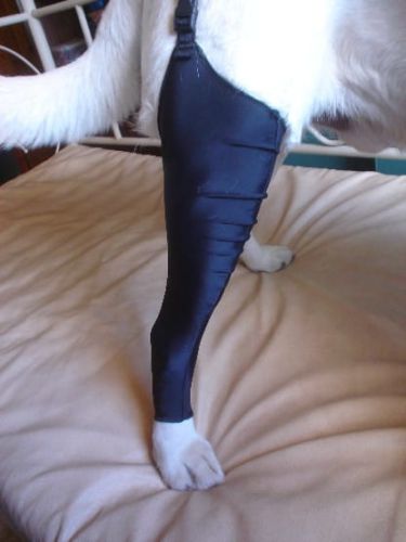 SPANDEX Strumpf hinten Dsc04858.jpg