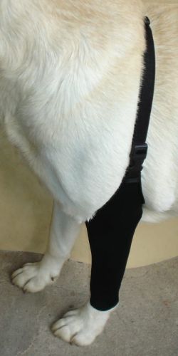 SPANDEX-Frontstrumpf ponczocha-dla-psa-przod-3.jpg