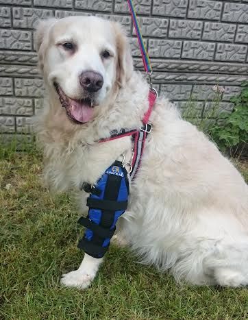 Stabilisierte Ellbogenstütze