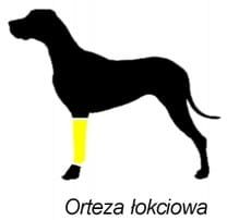 Stabilisierte Handgelenks- und Ellenbogenbandage