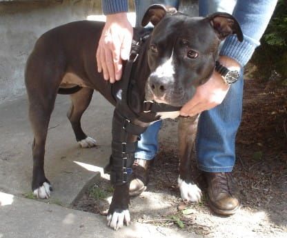 Stabilisierte Schulter- und Ellbogenstütze