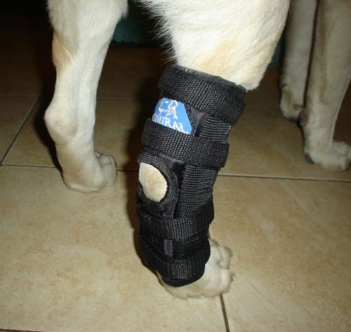 Knöchelorthese für die hintere Flexion orteza-skokowa_4bch31cl.jpg