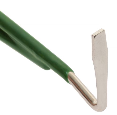 Hufreiniger f2267-2.jpg