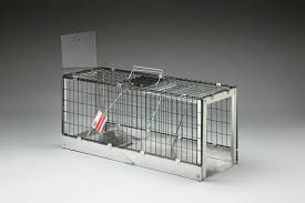 Klappbare Käfigfalle für Katzen und Kleintiere składana.jpg