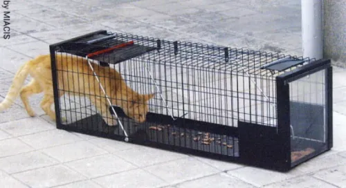 Fallenkäfig für Katzen und Kleintiere Klatka pułapka 178-315-2.jpg