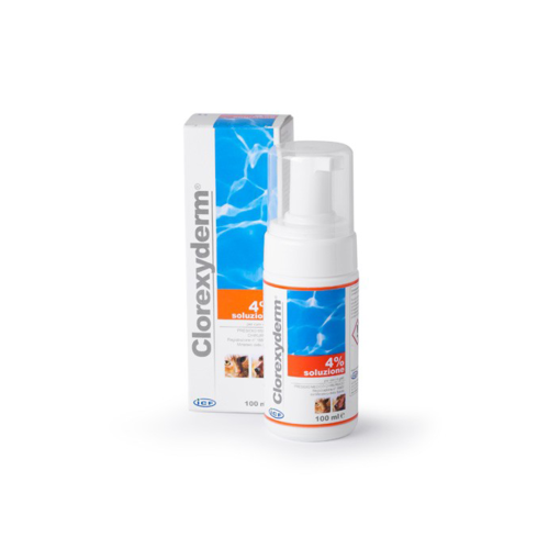 Clorexyderm Schaum 4% 100 ml Geulincx Clorexyderm Foam 4% 100 ml Geulincx.png