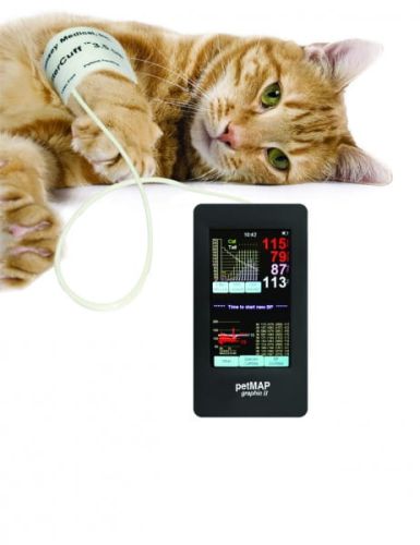 Tierärztliches Blutdruckmessgerät PetMAP graphic II cat-with-pmgii.jpg