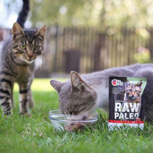 RAW PALEO Katze Sterilisiertes Rindfleisch 100 g Vet-Expert raw-paleo-sterilised-beef-mokra-karma-dla-kotow-sterylizowanych-wolowina-pakiet-12x100g (1).jpg