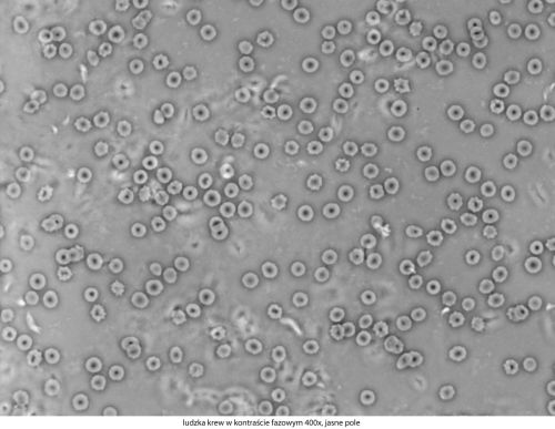 Mikroskop Delta Optical Genetic Pro Trino Delta-Optical-Genetic-Pro-Bino-6.jpg
