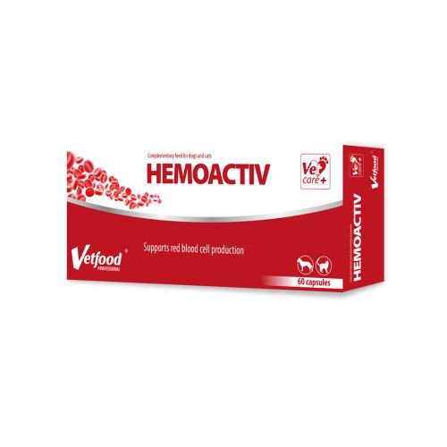 HemoActiv 60 Kapseln Vetfood